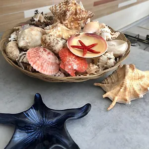Stella Marina Casa vacanze